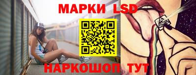 шишки Можга