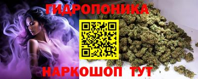 шишки Можга