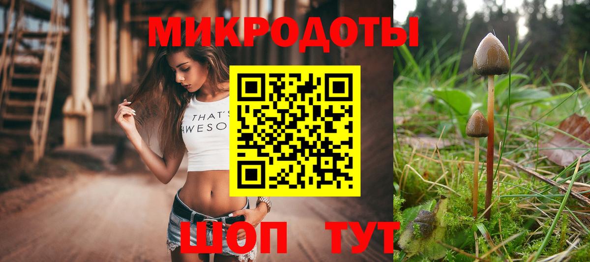 Тимашёвск  Псилоцибиновые грибы Magic Shrooms  Псилоцибиновые грибы мицелий  как найти наркотики  Вход с VPN 