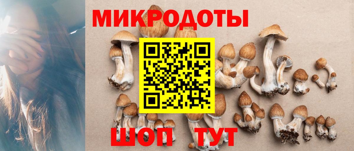 Канабис Тимашёвск